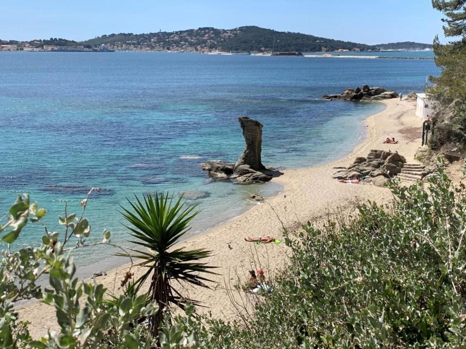 Superbe Appartement Proche Gare Toulon Buitenkant foto